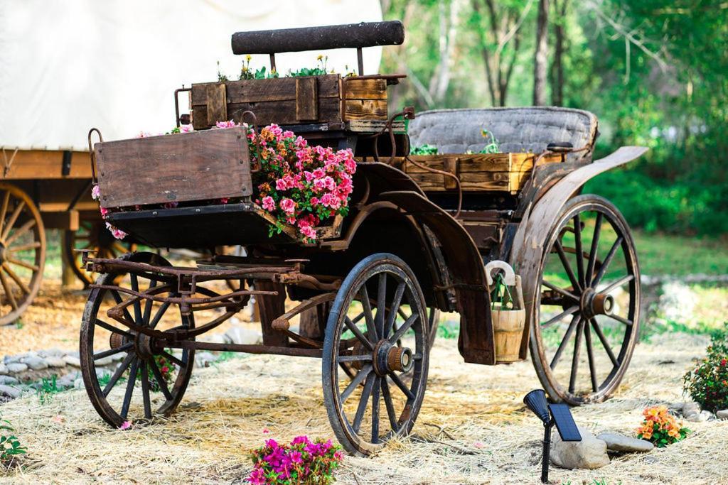 Cozy Wild West Covered Wagon Next To River غرانتس باس، أوريغون المظهر الخارجي الصورة